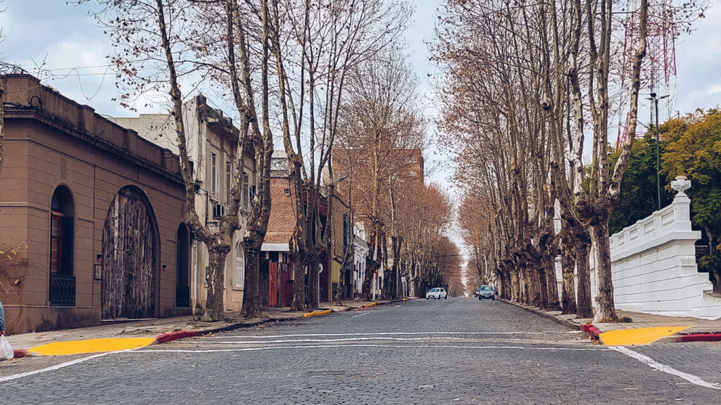 Rua larga de paralelepípedos, perto do Centro Histórico de Colonia del Sacramento, ladeada por árvores secas e casarões antigos, com alguns carros estacionados ao fundo.