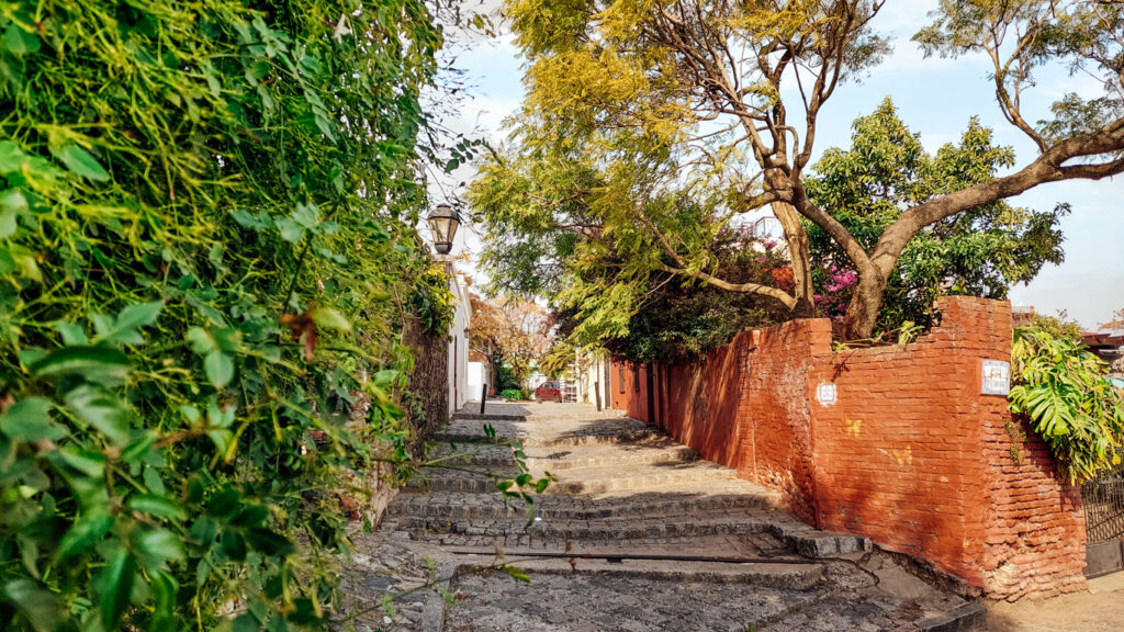 Rua estreita de pedras com escadaria suave, muros de tijolos e vegetação densa dos dois lados, no Centro Histórico de Colonia del Sacramento.