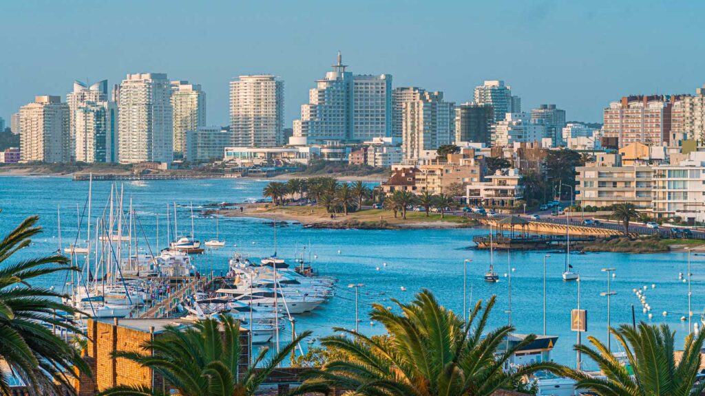 Punta del Este vista de um mirante, em primeiro plano mar azul se contrasta com os iates e as palmeiras, o fundo os prédios modernos margeiam a praia.