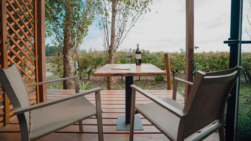 Terraço aconchegante do Pizzorno Lodge & Wine com mesa de madeira posta com taça e garrafa de vinho, cercado por cadeiras e vista direta para os vinhedos. O ambiente natural e tranquilo convida à degustação ao ar livre em meio às parreiras.