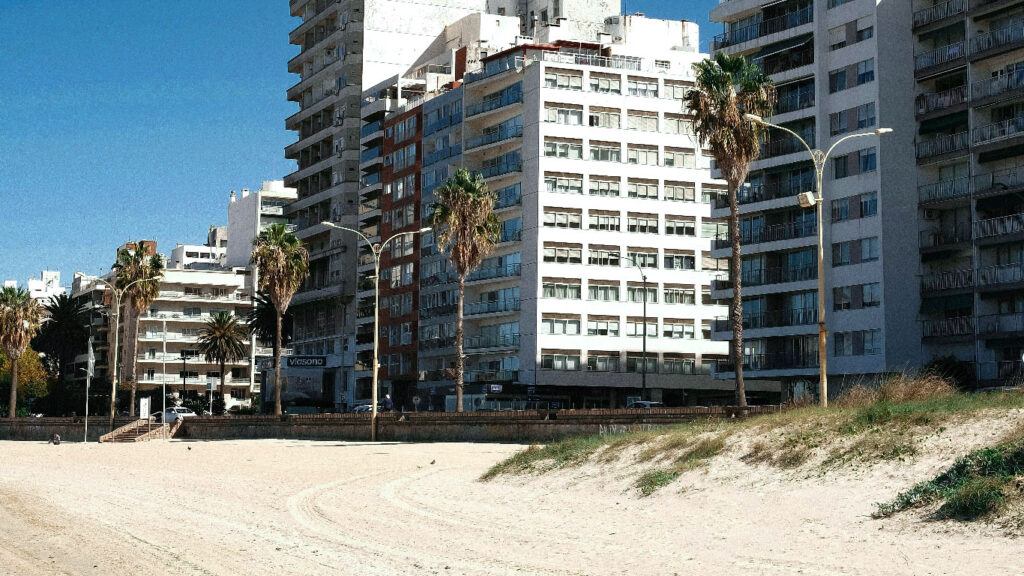 Imagem de edifícios residenciais altos com varandas de frente para a praia, onde ficam alguns dos melhores hotéis em Montevidéu com vista. Na frente dos prédios, há palmeiras e postes de iluminação pública, com uma faixa de areia e vegetação baixa à beira-mar sob um céu azul claro.