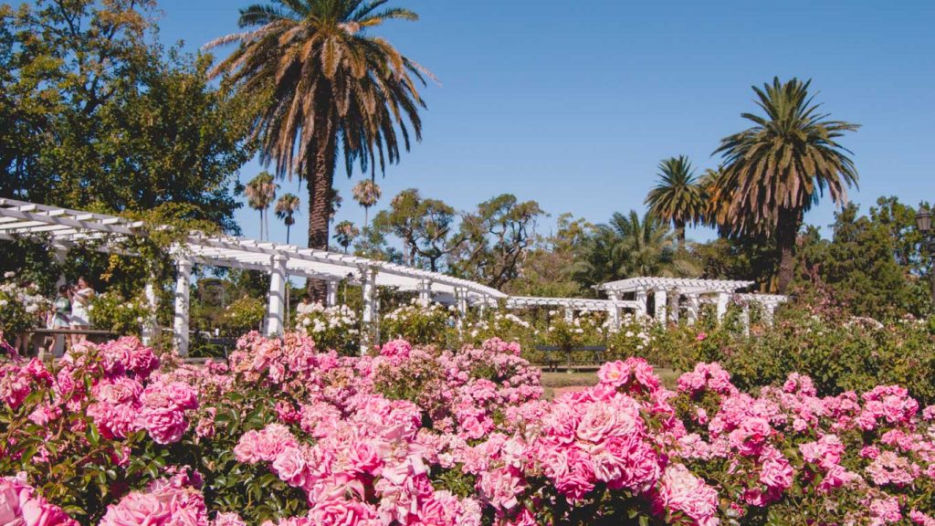El Rosedal, ponto turístico de Palermo um dos melhores bairros onde ficar em Buenos Aires.